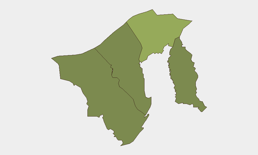 Brunei sub-national risk map