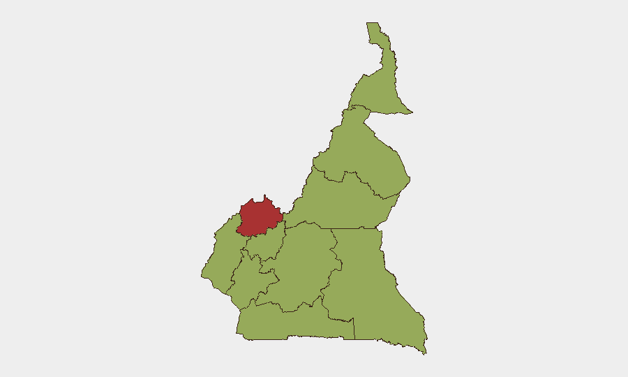 Cameroon sub-national risk map