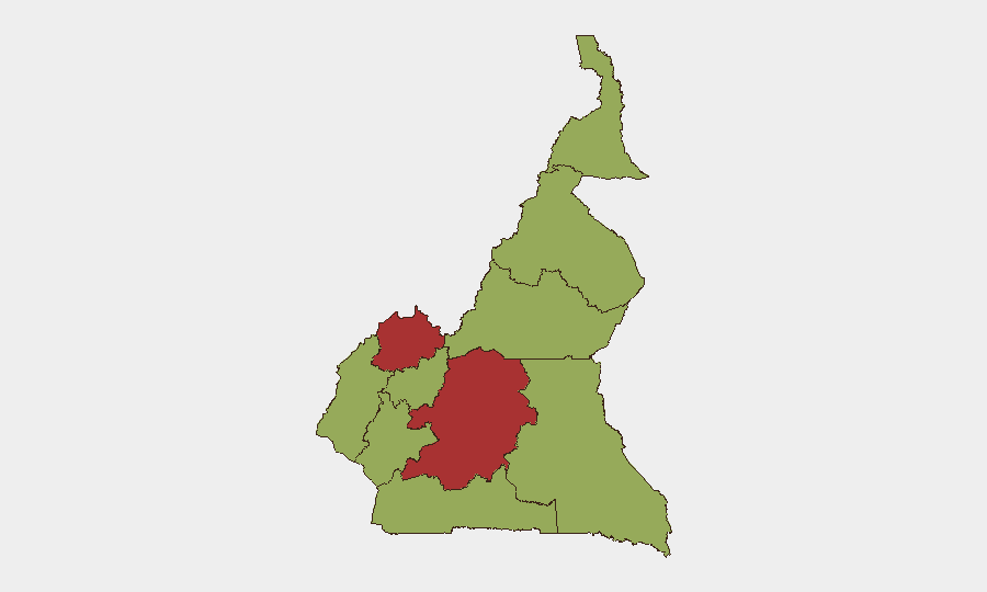 Cameroon sub-national risk map