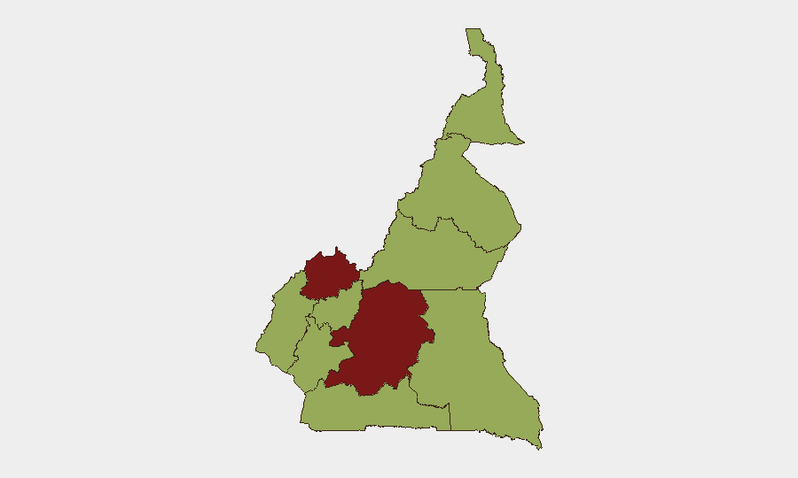 Cameroon sub-national risk map