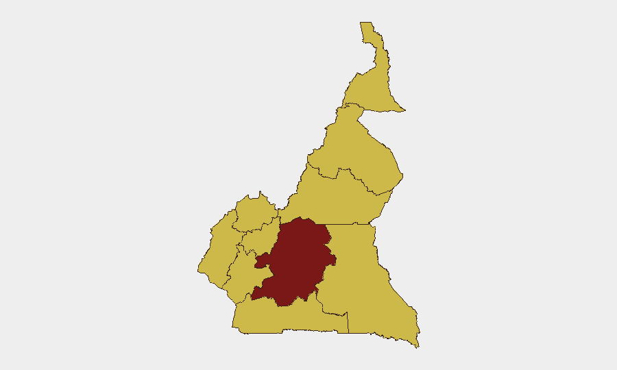 Cameroon sub-national risk map