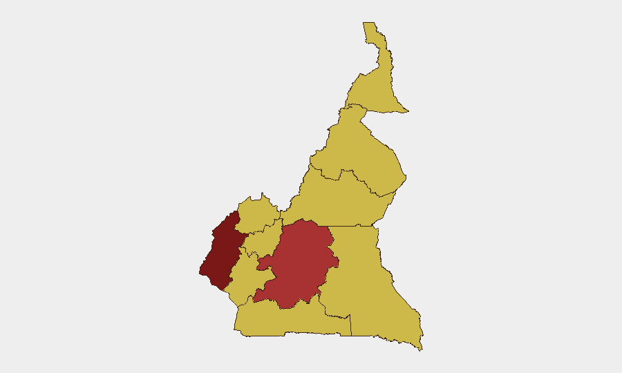 Cameroon sub-national risk map