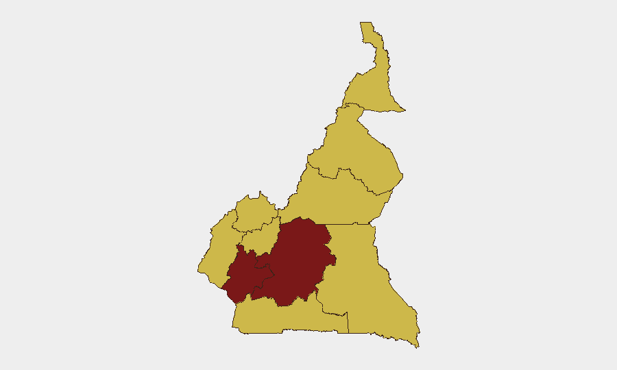 Cameroon sub-national risk map