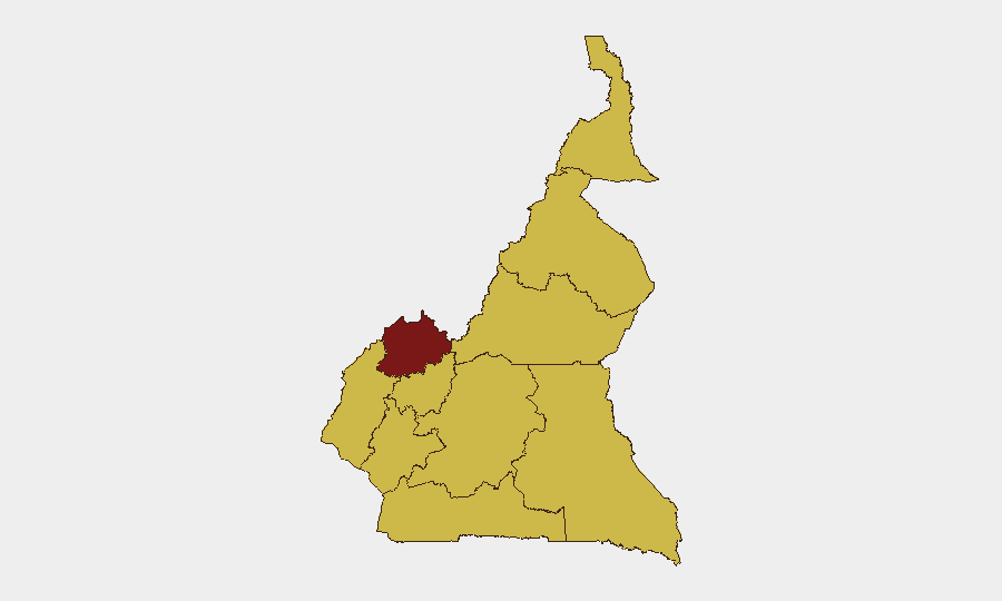 Cameroon sub-national risk map