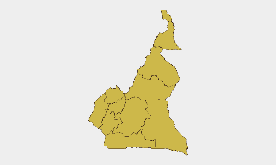 Cameroon sub-national risk map