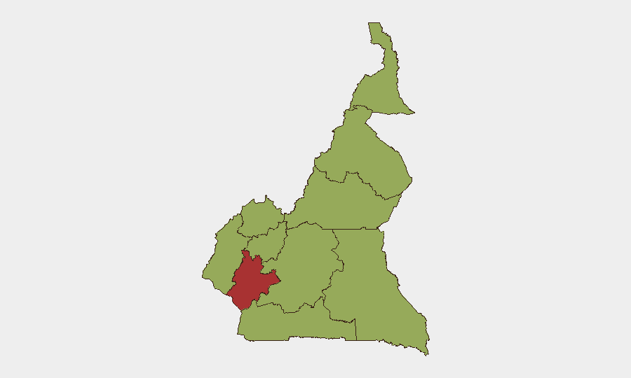 Cameroon sub-national risk map