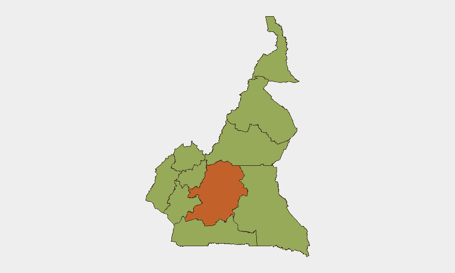Cameroon sub-national risk map