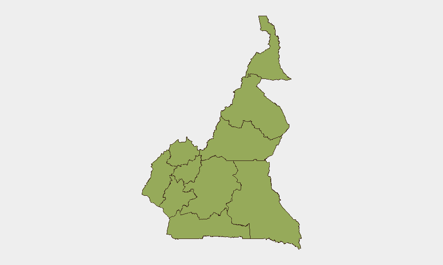 Cameroon sub-national risk map