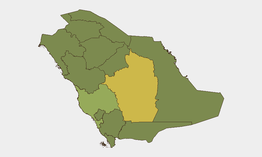 Saudi Arabia sub-national risk map