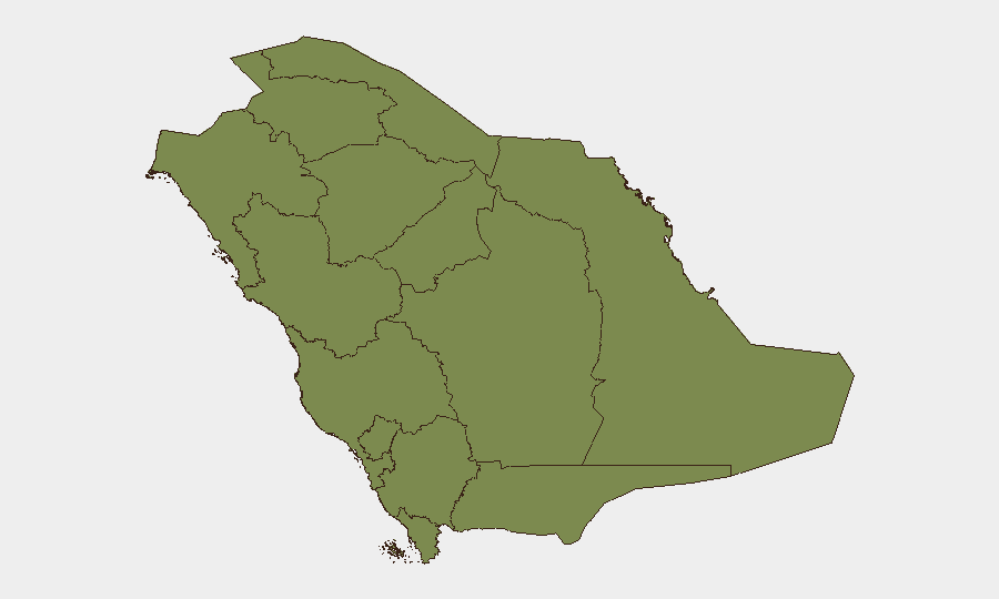 Saudi Arabia sub-national risk map