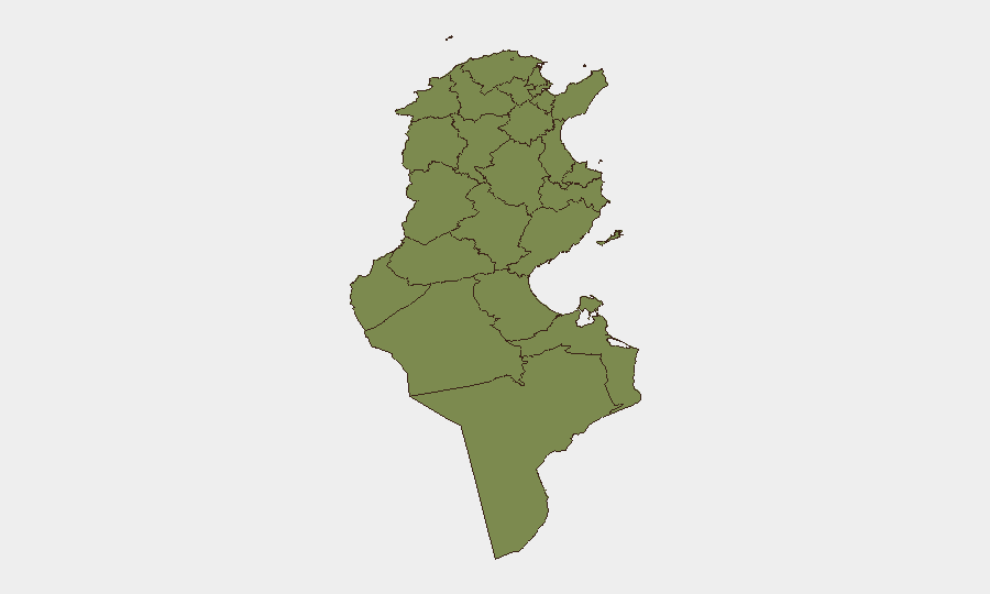 Tunisia sub-national risk map