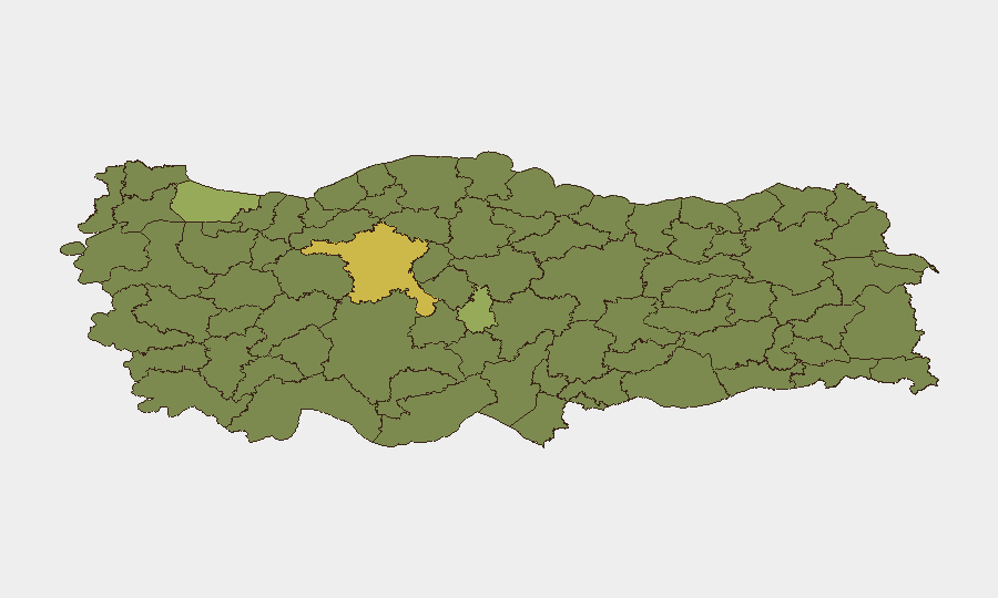 Turkey sub-national risk map